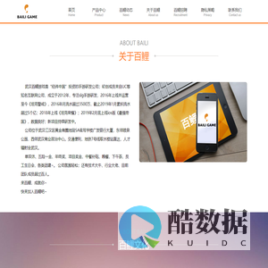 武汉百鲤网络技术有限公司