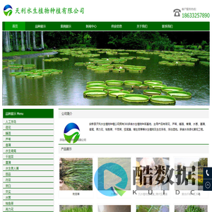 水生植物_沉水植物_人工浮岛-_浮动湿地-天利水生植物