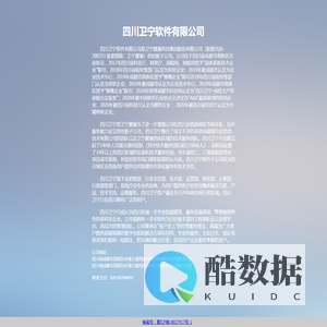 四川卫宁软件有限公司