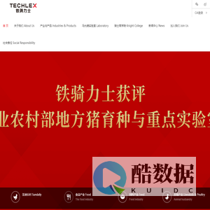 铁骑力士