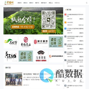 黄精价格行情_黄精的功效与作用_种植技术 - 黄精网