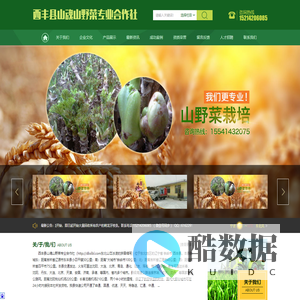 西丰县山魂山野菜专业合作社_西丰县山魂山野菜专业合作社