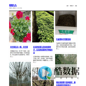 根雕九九 - 根雕网 | 根雕艺术 |  木头工艺品