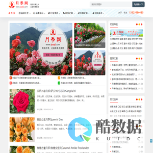 月季网-月季树花苗基地,品种大全和批发报价