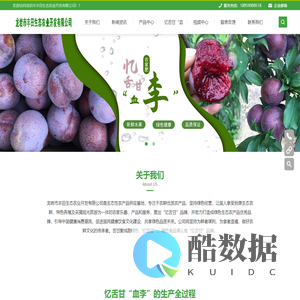 龙岩市丰田生态农业开发有限公司