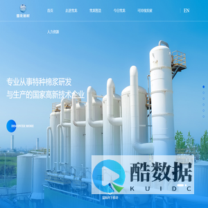 安徽雪龙新材料（集团）有限公司