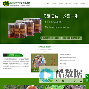 灵芝孢子粉,长白山野生灵芝,东北吉林山珍菌类-长白山野生灵芝基地