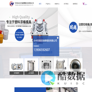 台州涂料桶模具厂家