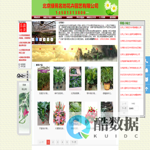 北京绿植租摆,北京花卉租赁,北京绿植送货-北京绿苑名坊花卉绿植公司