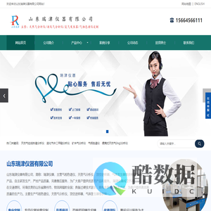 天然气在线热值分析仪_液化气中二甲醚分析仪_矿井气分析仪_乙二醇色谱分析仪