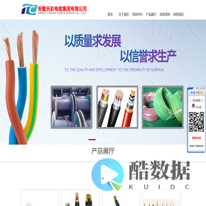 安徽天彩电缆集团有限公司