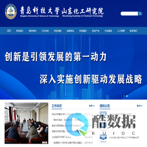 青岛科技大学山东化工研究院官方网站（https://sdhgyjy.qust.edu.cn/）