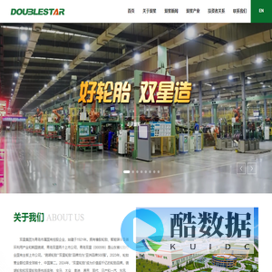 双星集团有限责任公司