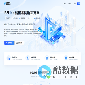 霹雳网络: P2Link 智能组网解决方案_内网穿透_远程组网_文件传输_远程桌面