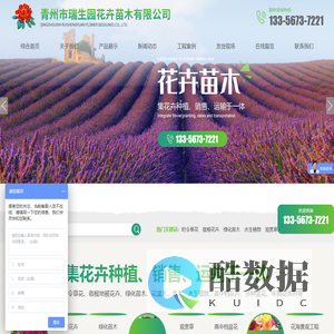 青州市瑞生园花卉苗木有限公司-时令草花和宿根花卉及绿化苗木基地