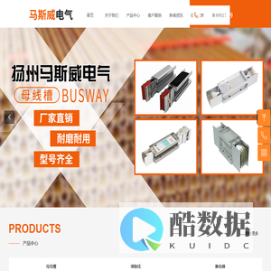 扬州马斯威电气有限公司