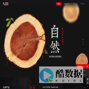 宁波九岸家居装饰有限公司