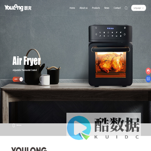 YOULONG ELECTRICAL,Cooker,Air Fryer,Oven