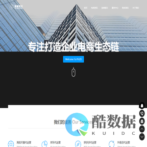 大连电商代运营公司|天猫京东拼多多|淘宝抖音小红书－普惠智达-大连普惠智达科技有限公司