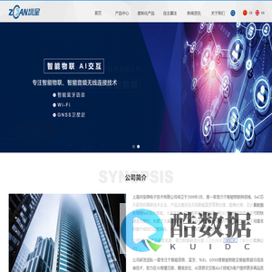 上海圳呈微电子技术有限公司