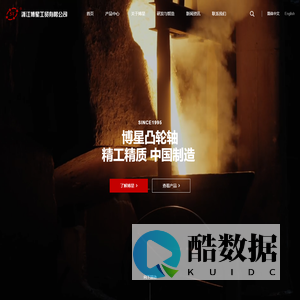 凸轮轴-浙江博星工贸有限公司