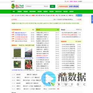西瓜产地网-2026年西瓜价格行情_西瓜代办批发_西瓜网站