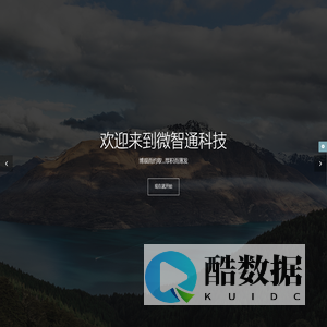 微智通(广州)科技有限公司