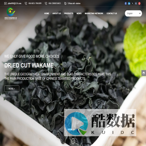 Yuanxing Food_DRIED CUT WAKAME
