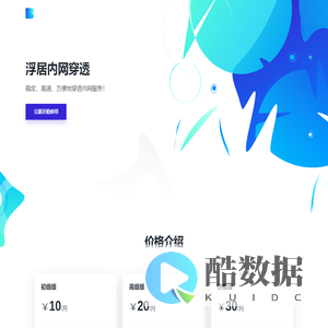 浮居内网穿透