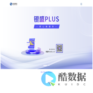 银盛PLUS