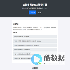 大卖家跨境运营工具