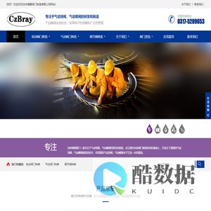 沧州博雷阀门制造有限公司