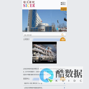 山东硅元新型材料股份有限公司