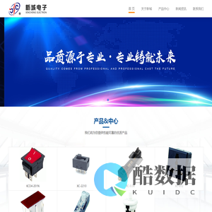 乐清市新城电子有限公司