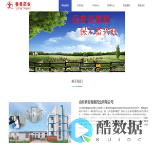 山东泰安鲁星药业有限公司