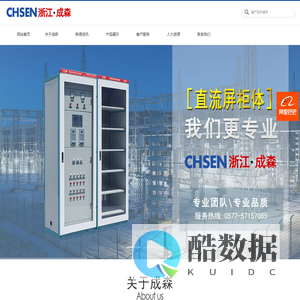 浙江成森电气有限公司