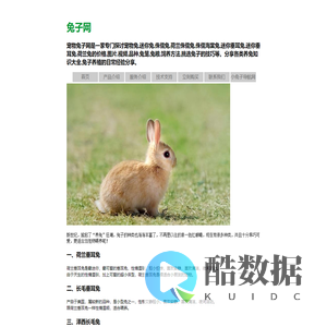 侏儒兔_荷兰侏儒兔_侏儒海棠兔_迷你垂耳兔_宠物兔子网