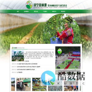 六马李子苗圃|六马蜂糖李|六马四月李|六马香脆李 镇宁金林源