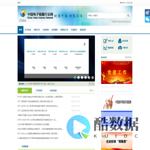中国电子视像行业网
