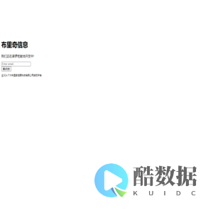 布里奇信息桥鸥系统