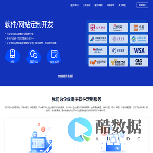 软件网站定制开发公司
