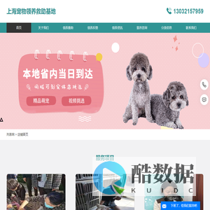 上海宠物领养救助-上海宠物救助领养
