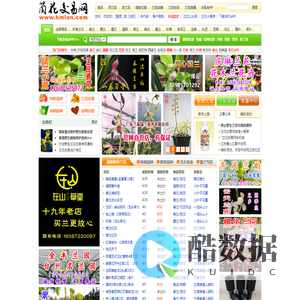 中国兰花交易网 － 兰花拍卖,中兰网,兰草交易,兰花图片,了解中国兰花尽在本兰花网