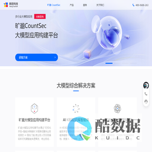 大模型应用解决方案服务商