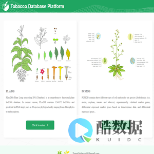 Tobacco Database Platform