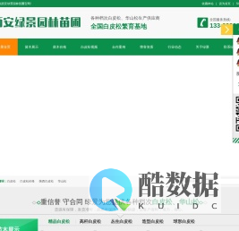 白皮松_陕西白皮松批发价格_基地报价行情_西安绿景园林苗圃