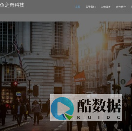 合肥鱼之奇科技有限公司bingae.cn