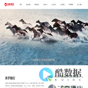 内蒙古河套酒业集团-青铜钫-河套王-河套老窖