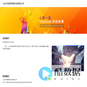 七台河凌博网络科技有限公司