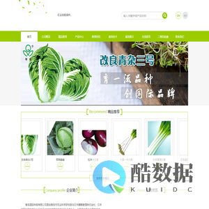 白菜种子,甘蓝种子,洋葱种子,番茄种子,黄瓜种子,大葱种子,西兰花种子,萝卜种子,青岛国际种苗有限公司